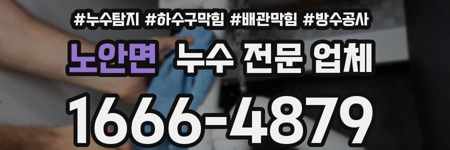 노안면 누수 전문 업체
