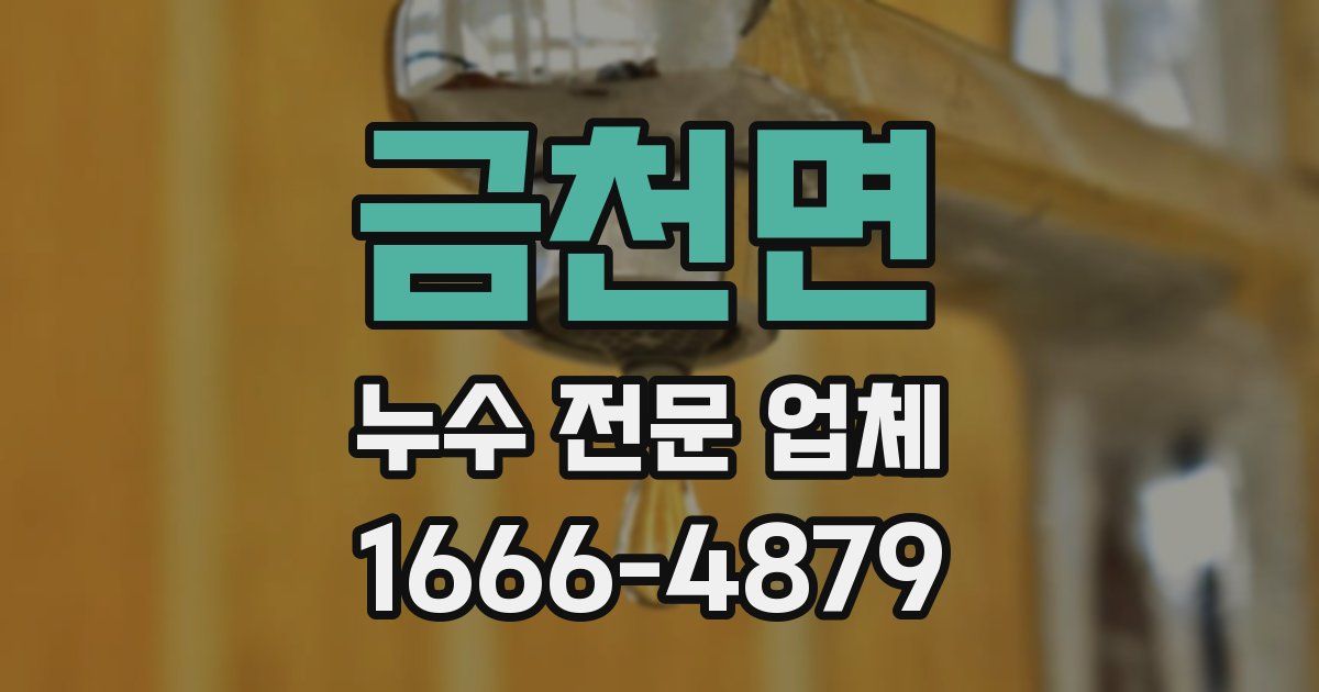 금천면 누수 전문 업체