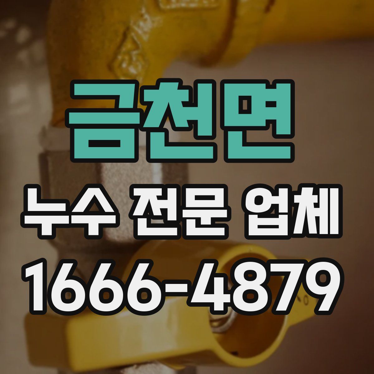 금천면 누수 전문 업체