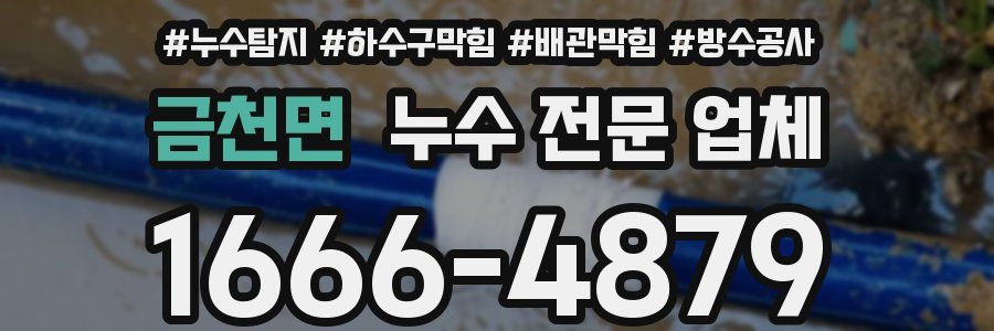 금천면 누수 전문 업체