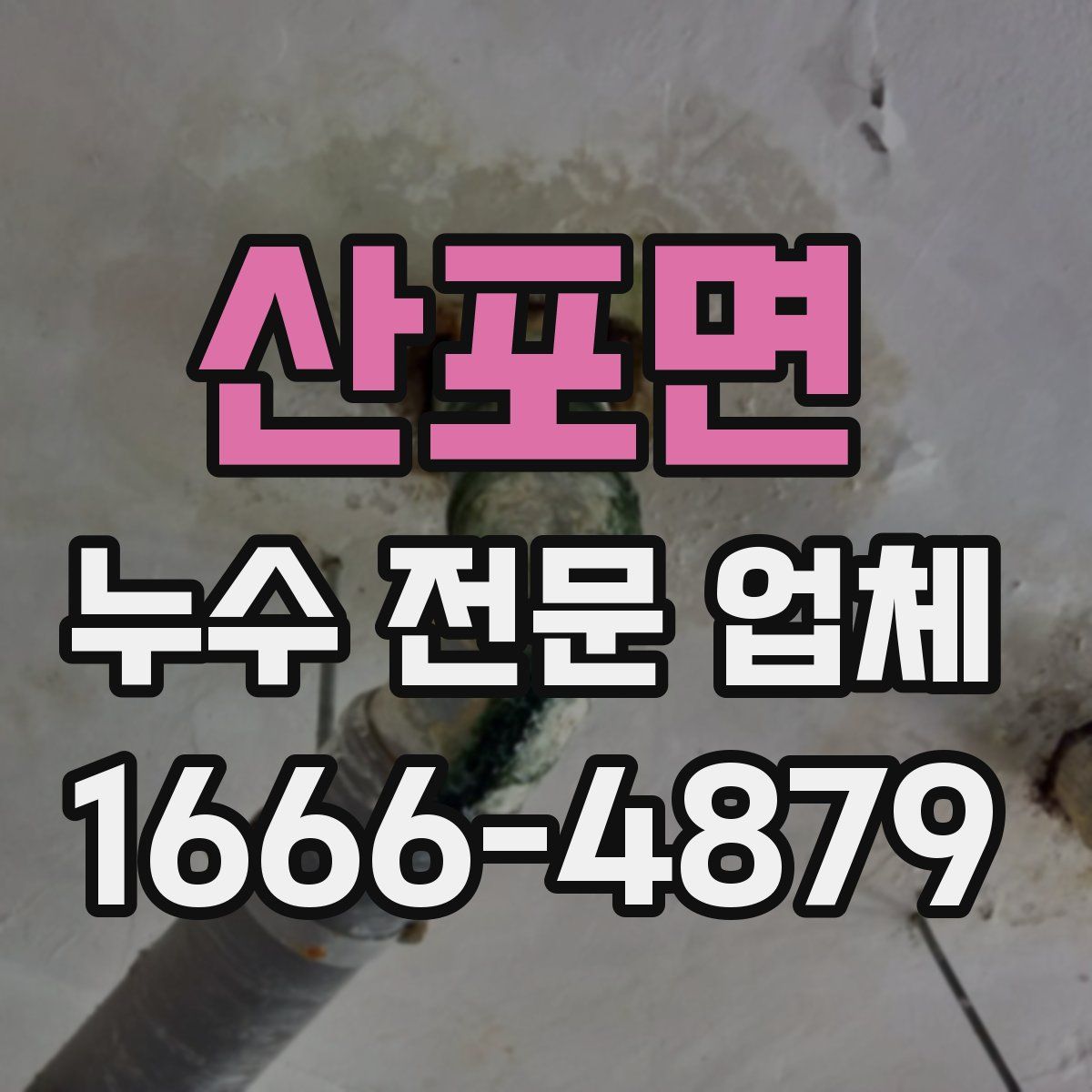 산포면 누수 전문 업체