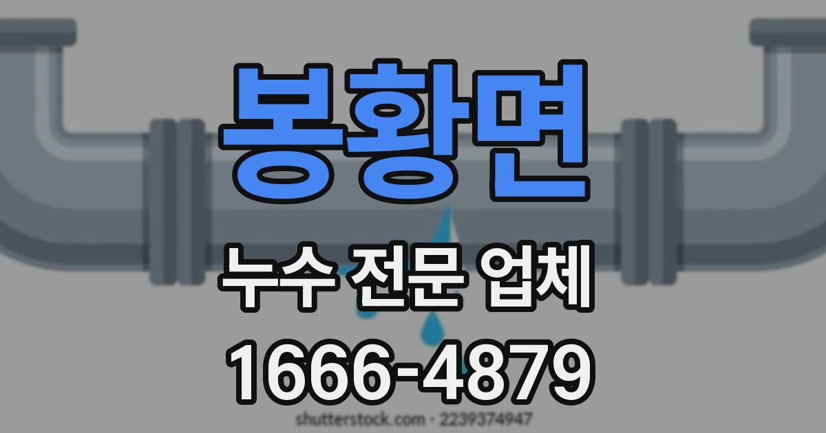 봉황면 누수 전문 업체