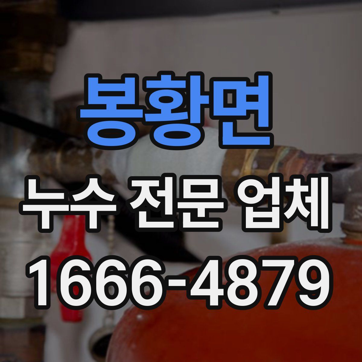 봉황면 누수 전문 업체