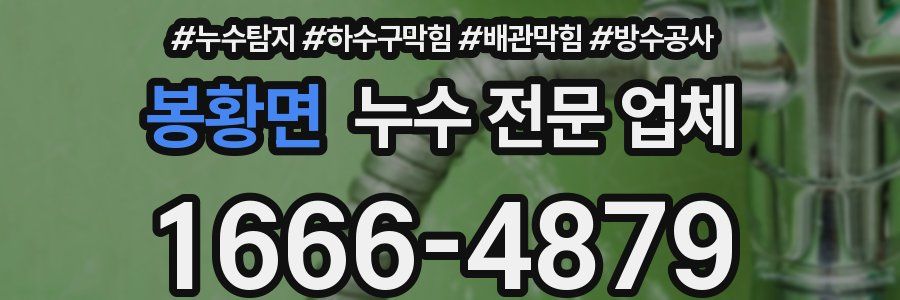 봉황면 누수 전문 업체
