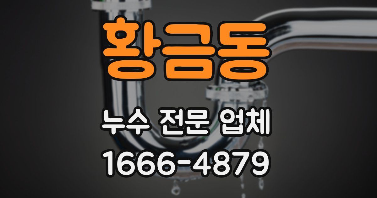 황금동 누수 전문 업체