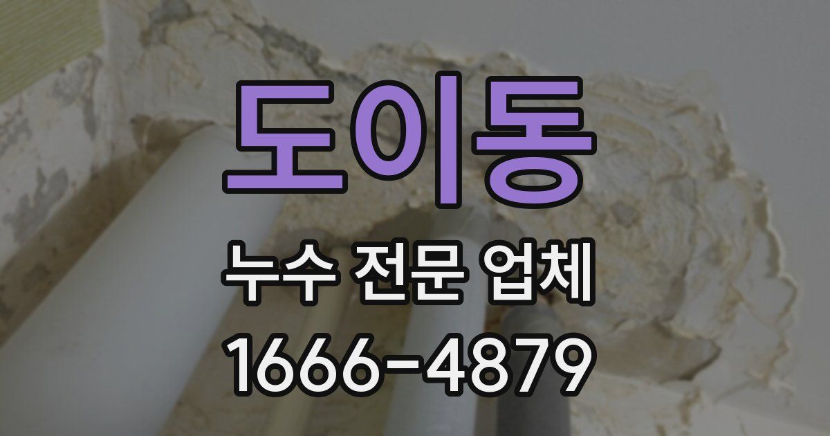 도이동 누수 전문 업체