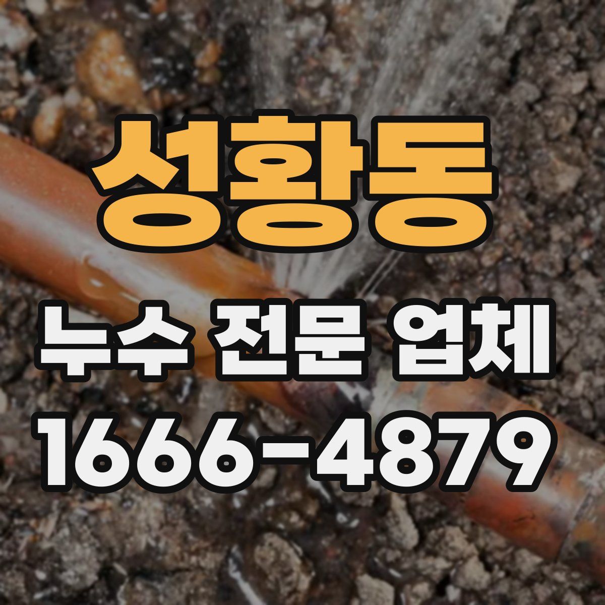 성황동 누수 전문 업체