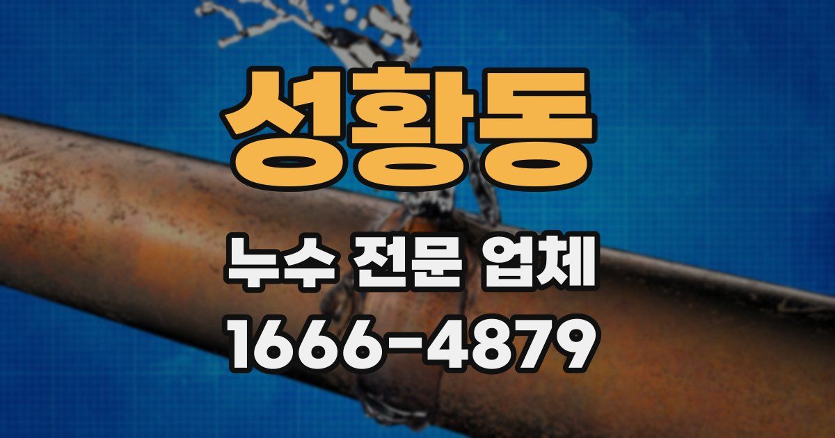 성황동 누수 전문 업체