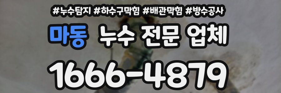 마동 누수 전문 업체