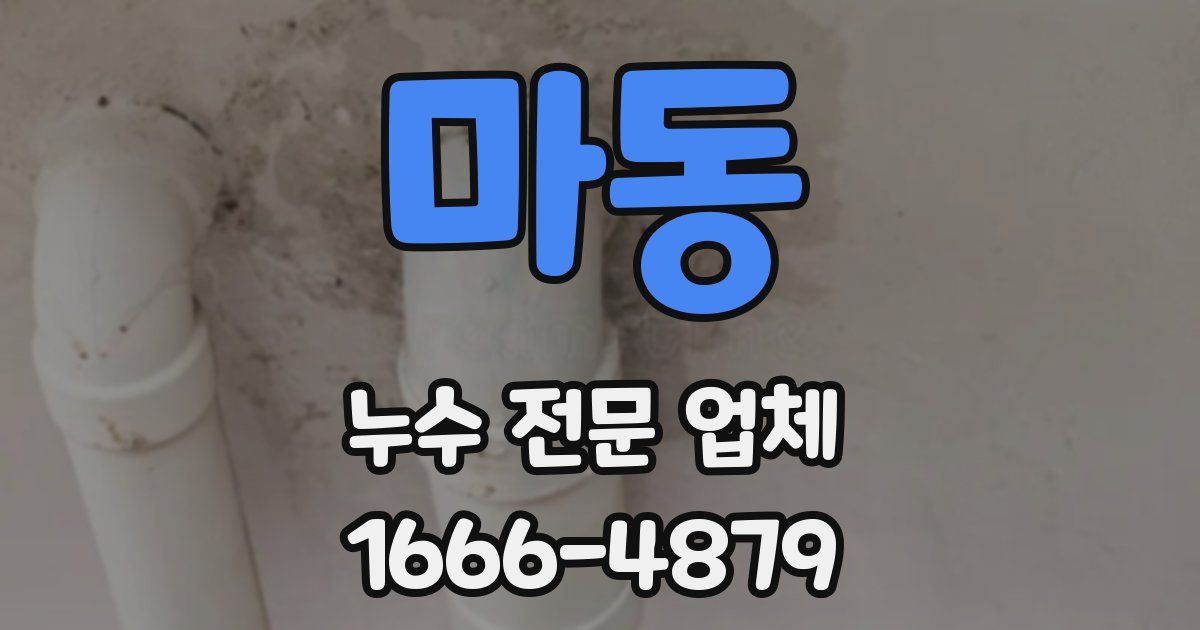 마동 누수 전문 업체