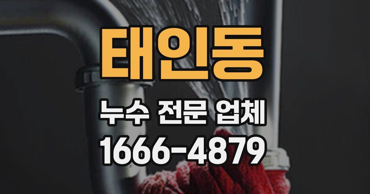 태인동 누수 전문 업체