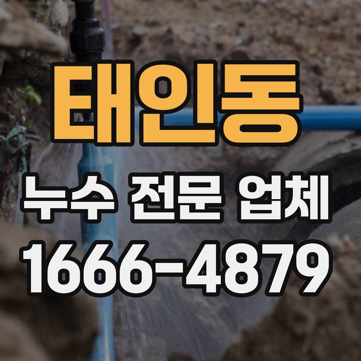 태인동 누수 전문 업체