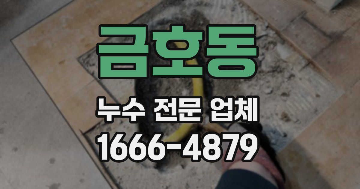 금호동 누수 전문 업체