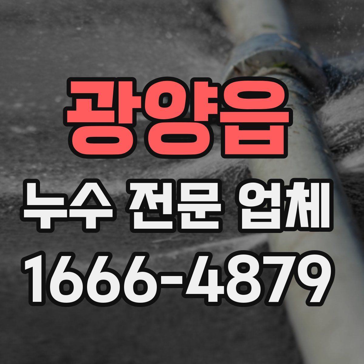 광양읍 누수 전문 업체