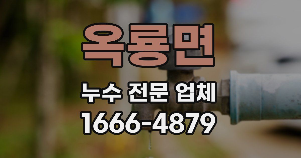 옥룡면 누수 전문 업체