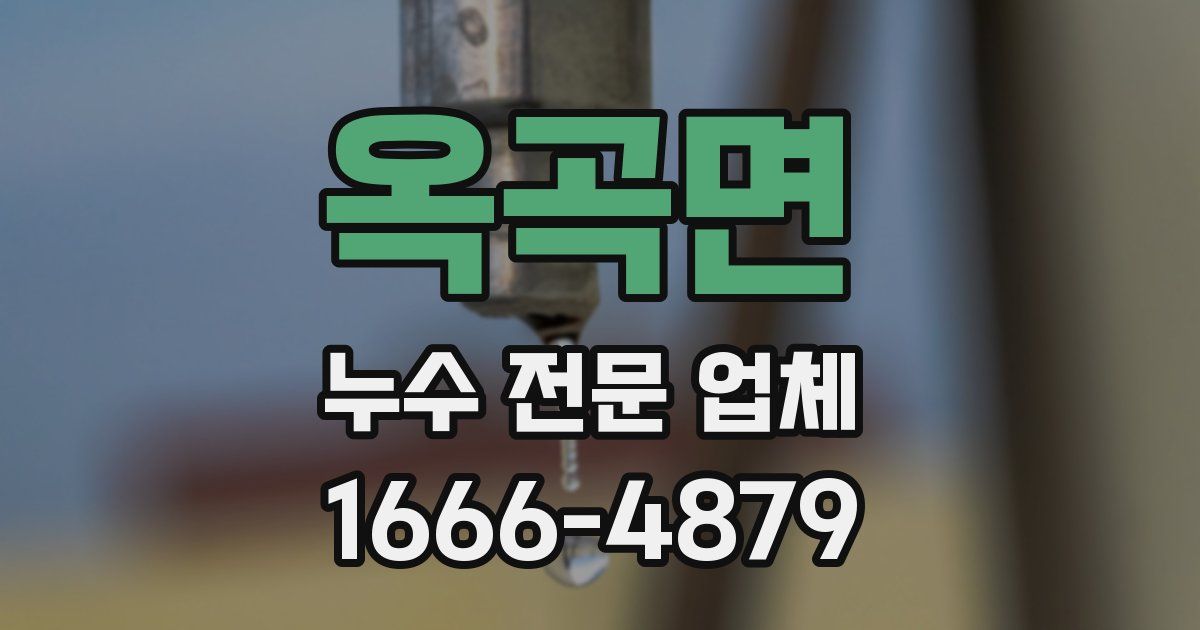 옥곡면 누수 전문 업체