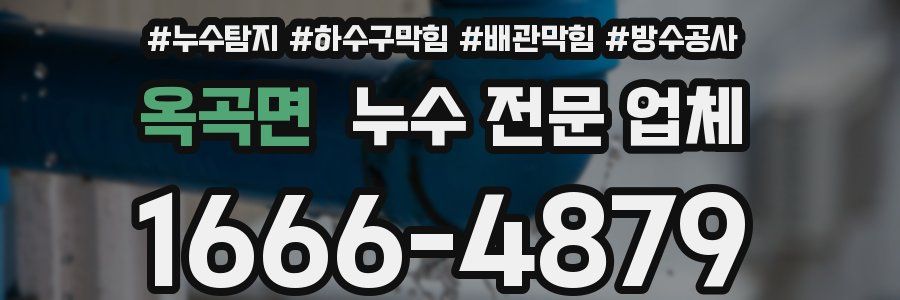 옥곡면 누수 전문 업체
