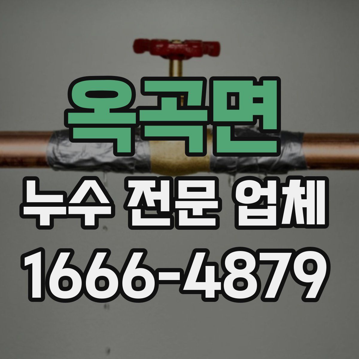 옥곡면 누수 전문 업체