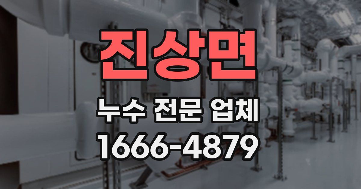 진상면 누수 전문 업체
