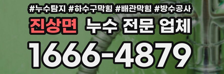 진상면 누수 전문 업체