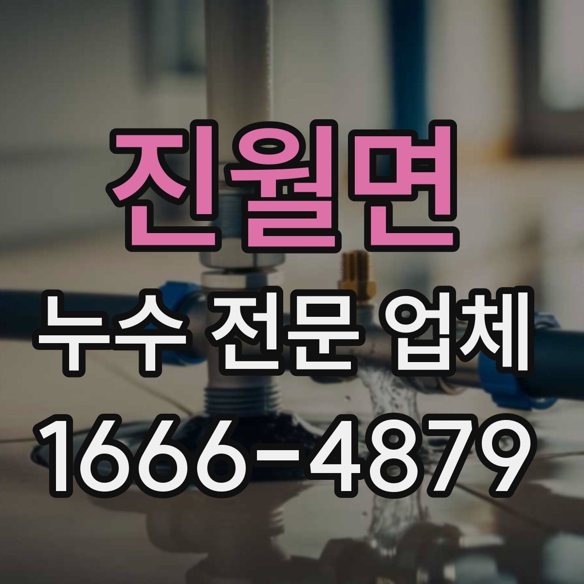 진월면 누수 전문 업체