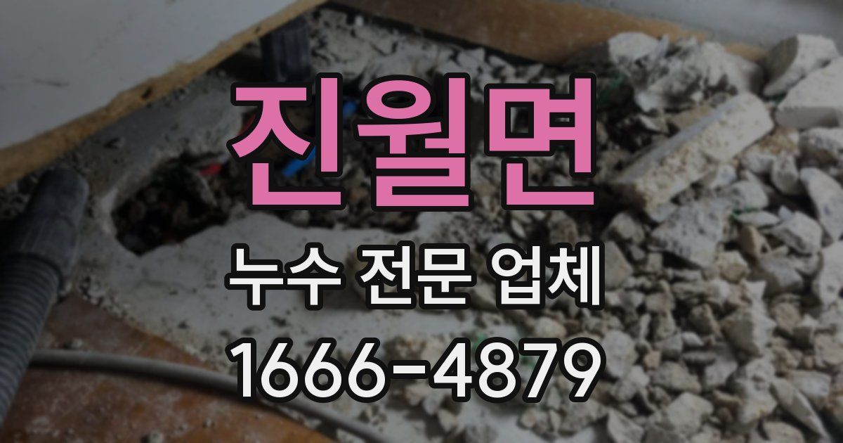 진월면 누수 전문 업체