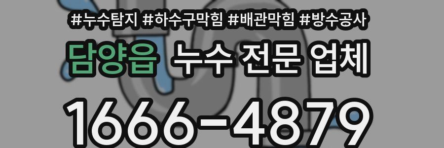 담양읍 누수 전문 업체