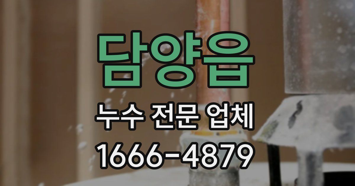 담양읍 누수 전문 업체
