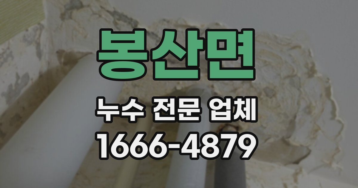봉산면 누수 전문 업체
