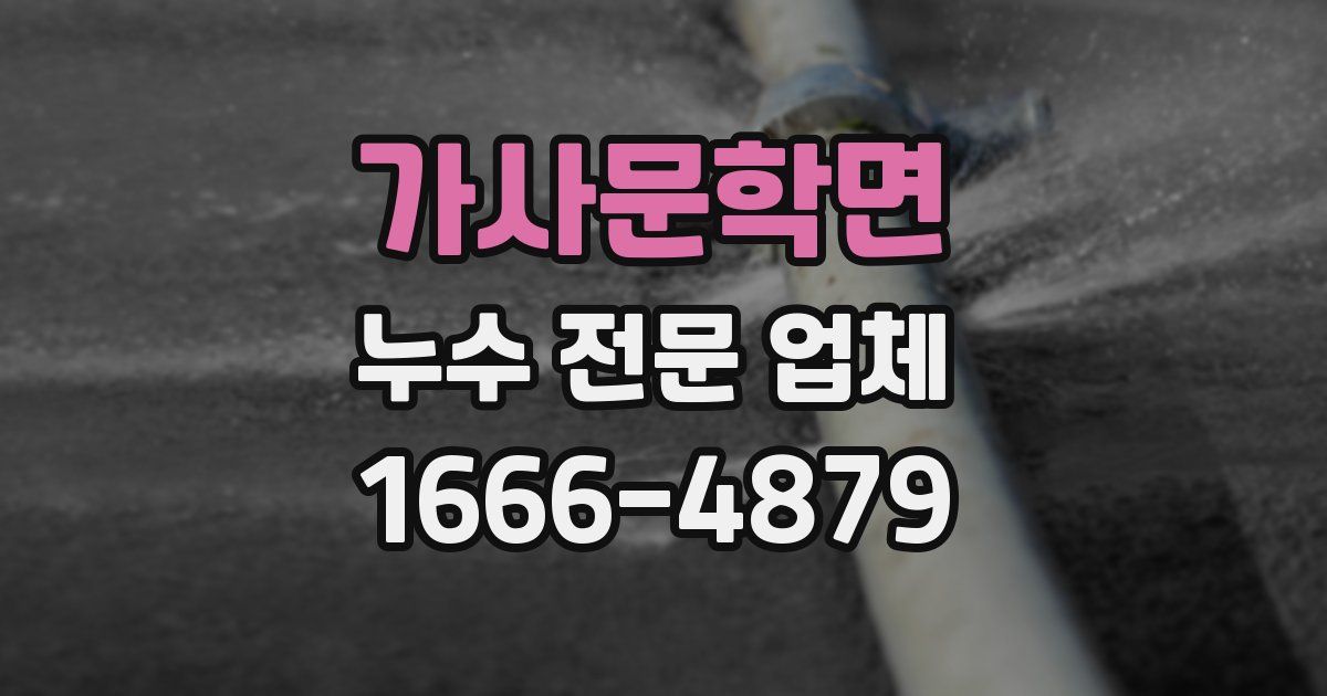 가사문학면 누수 전문 업체