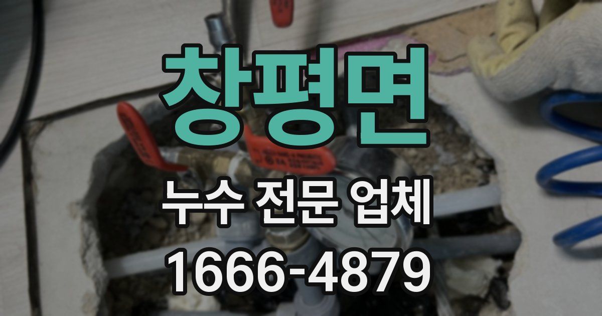 창평면 누수 전문 업체