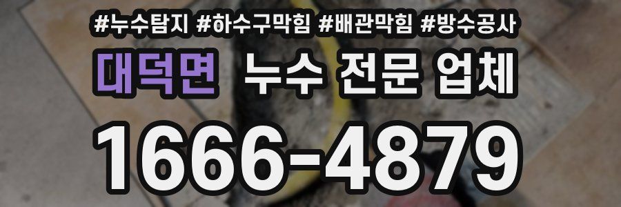 대덕면 누수 전문 업체