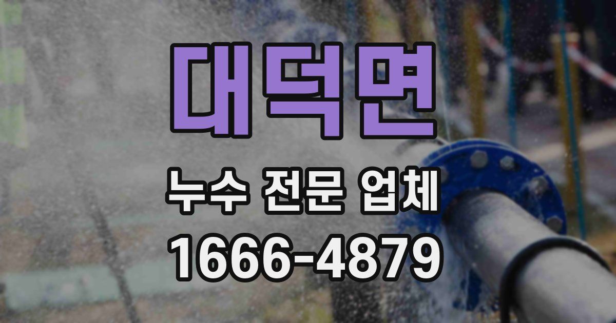 대덕면 누수 전문 업체