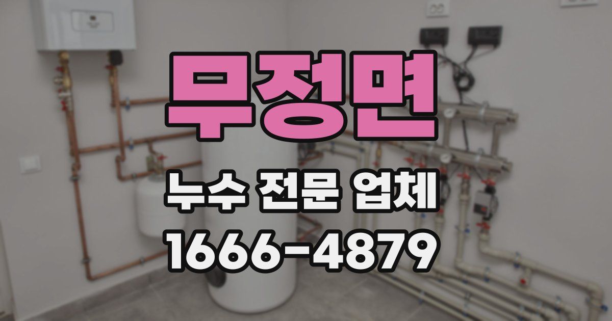 무정면 누수 전문 업체