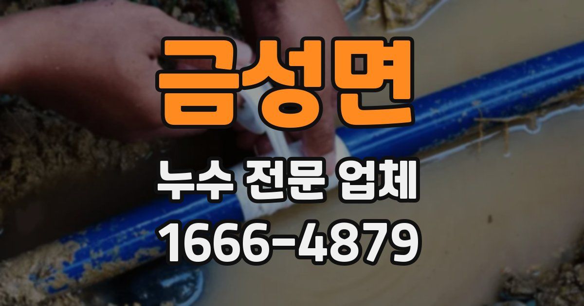 금성면 누수 전문 업체