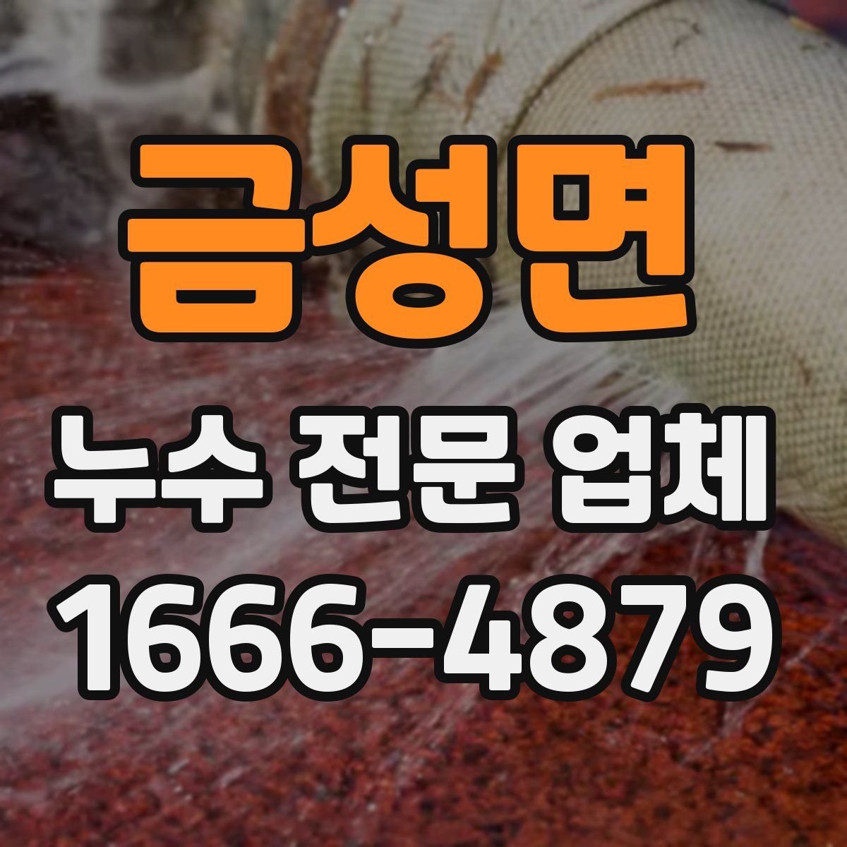 금성면 누수 전문 업체