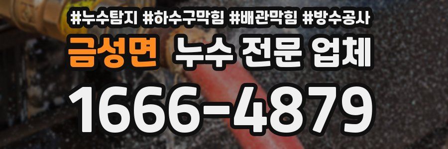 금성면 누수 전문 업체