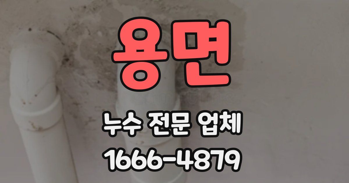 용면 누수 전문 업체