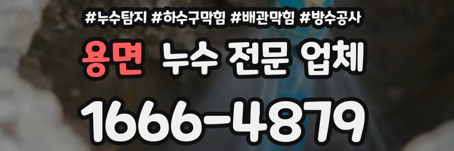 용면 누수 전문 업체