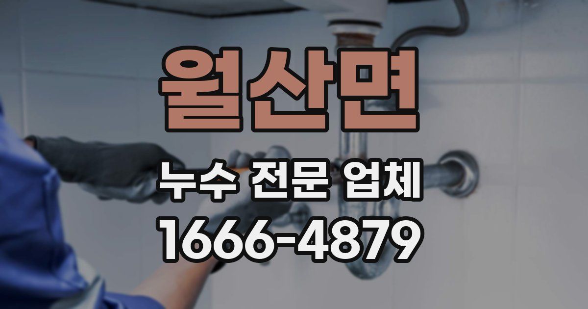 월산면 누수 전문 업체