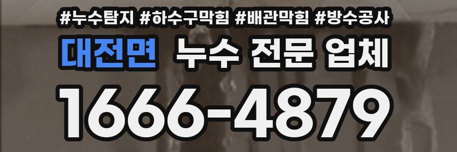 대전면 누수 전문 업체