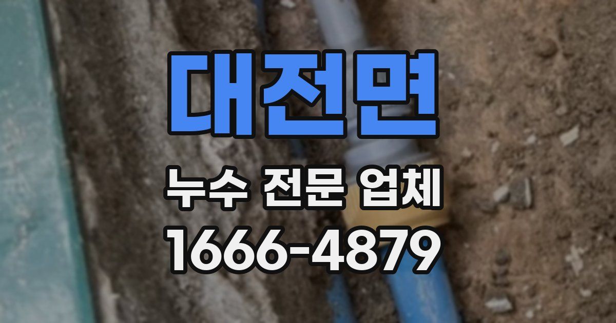 대전면 누수 전문 업체