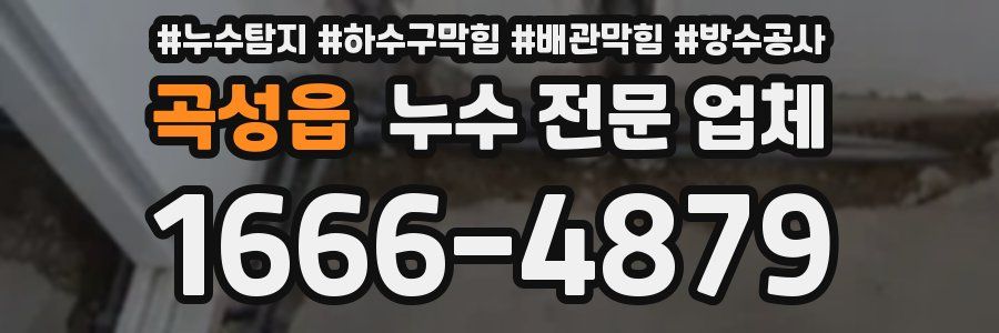 곡성읍 누수 전문 업체