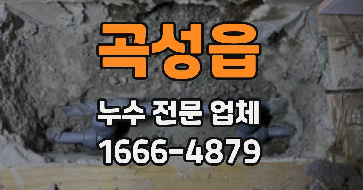곡성읍 누수 전문 업체