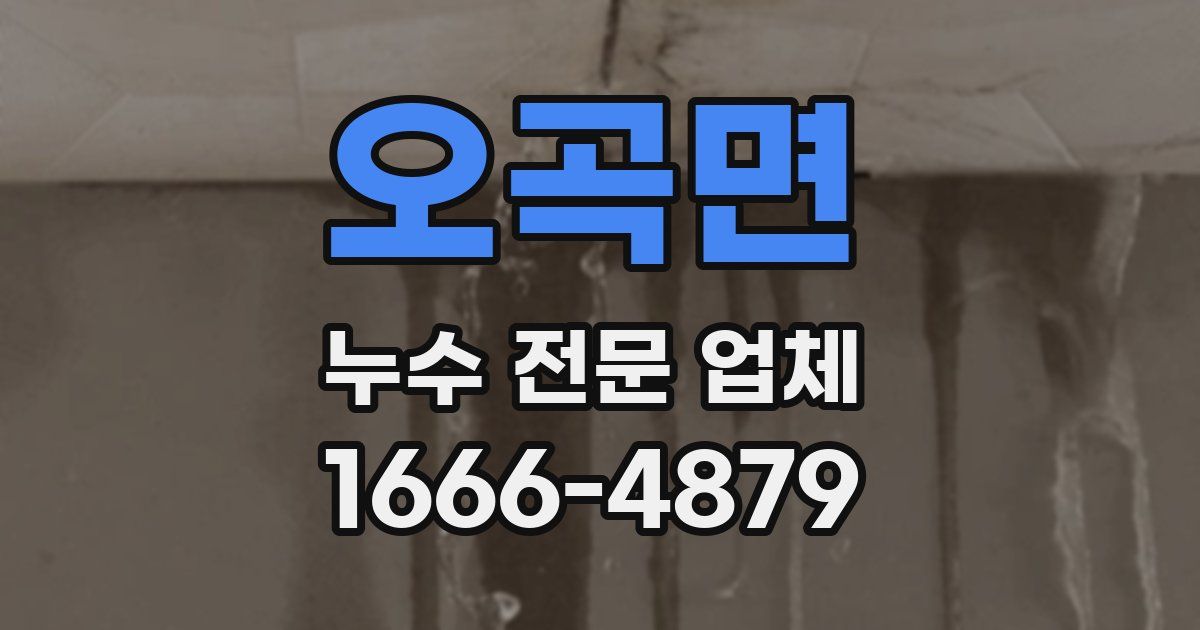 오곡면 누수 전문 업체