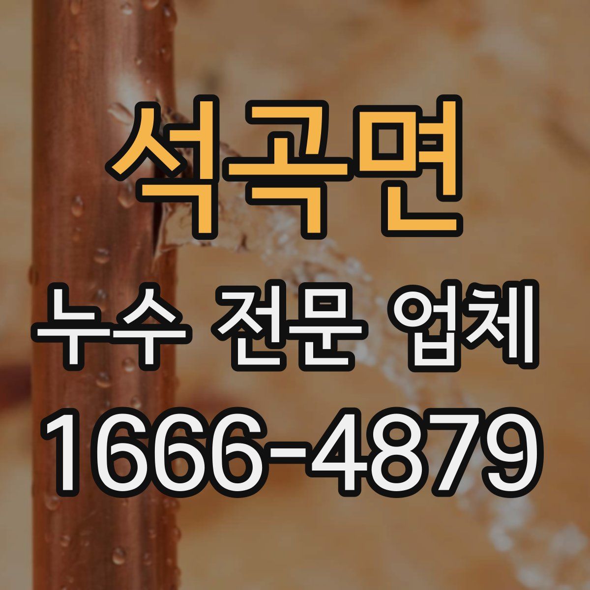 석곡면 누수 전문 업체