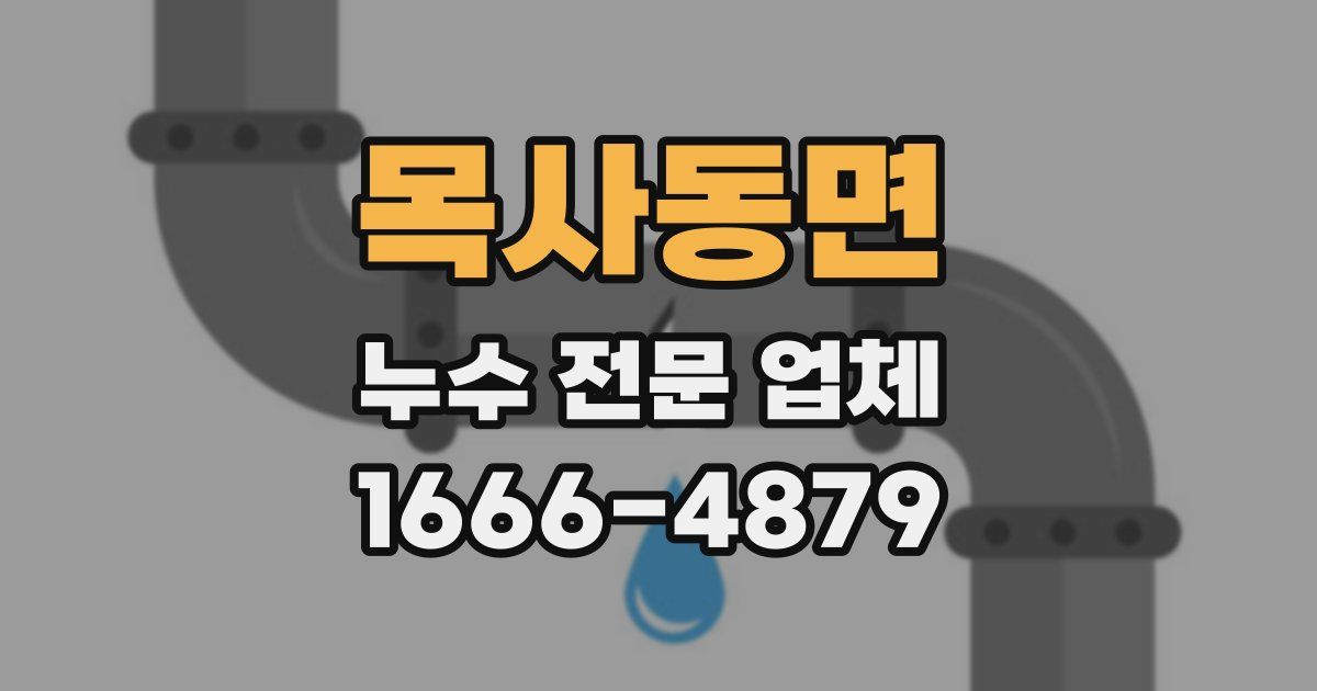목사동면 누수 전문 업체