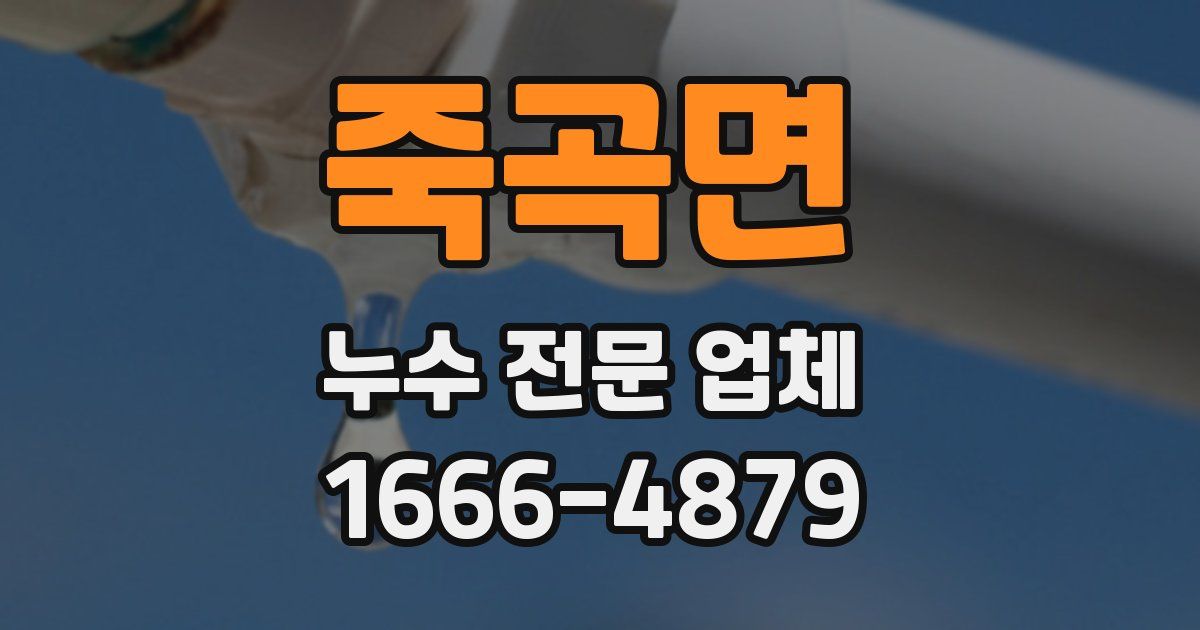 죽곡면 누수 전문 업체