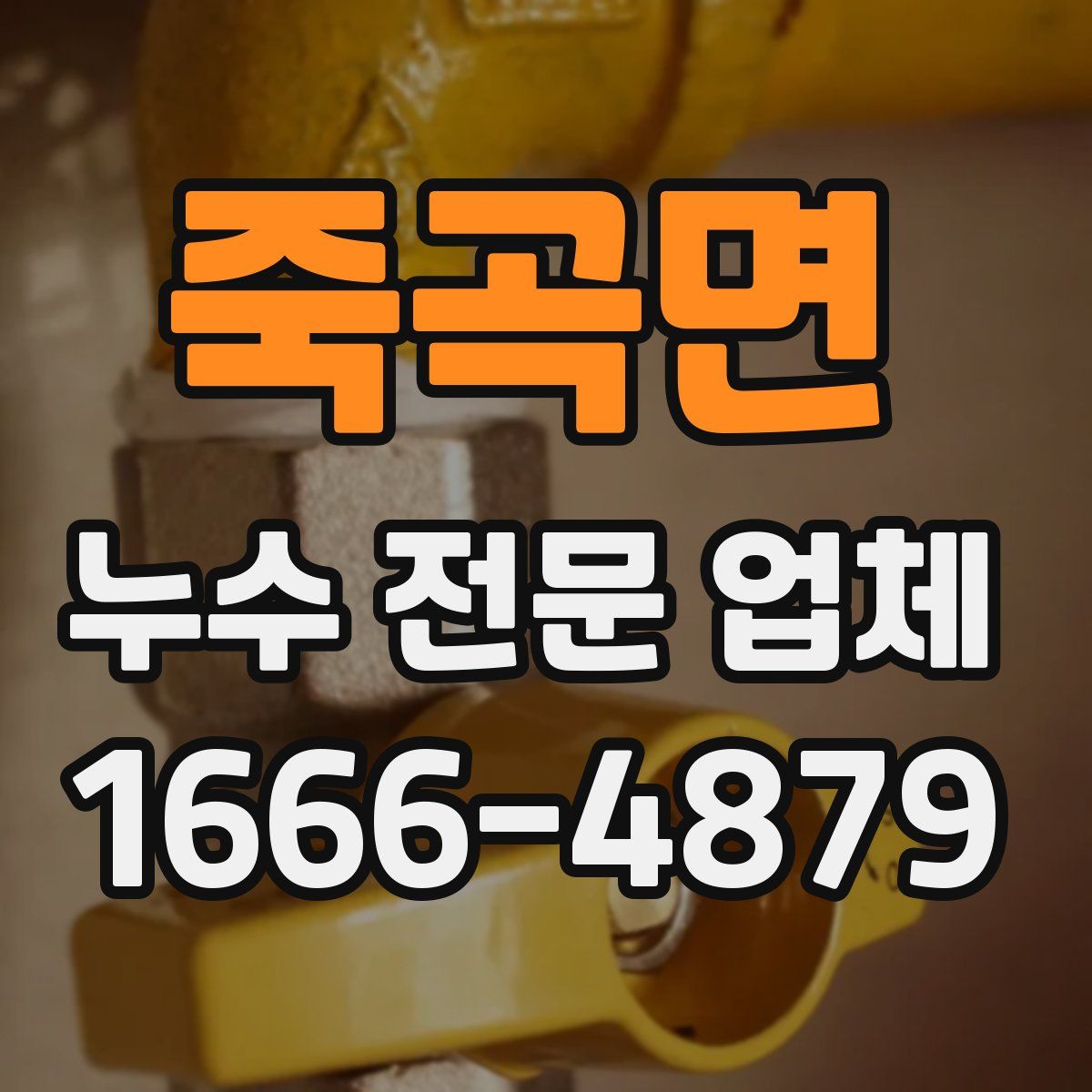 죽곡면 누수 전문 업체