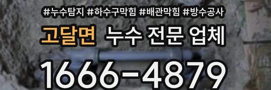고달면 누수 전문 업체